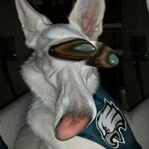 Meet your Posher, Reese